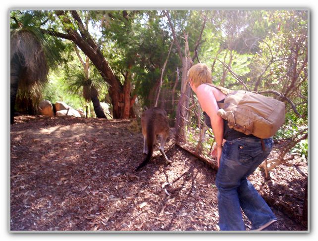 Karen at Perth Zoo Feb 16th 2007 1